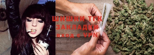 шишки Нязепетровск